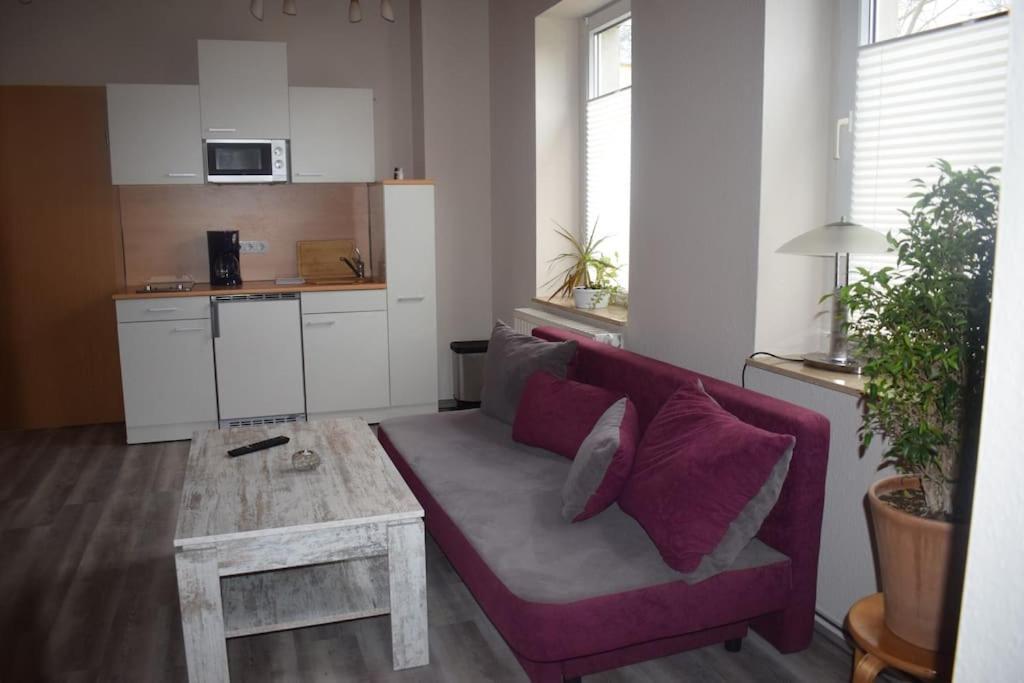 City Appartement Mit Garten, Zentral Und Trotzdem Ruhig Cottbus Extérieur photo