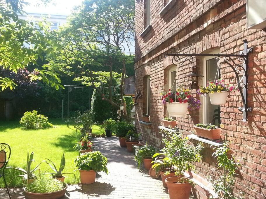 City Appartement Mit Garten, Zentral Und Trotzdem Ruhig Cottbus Extérieur photo