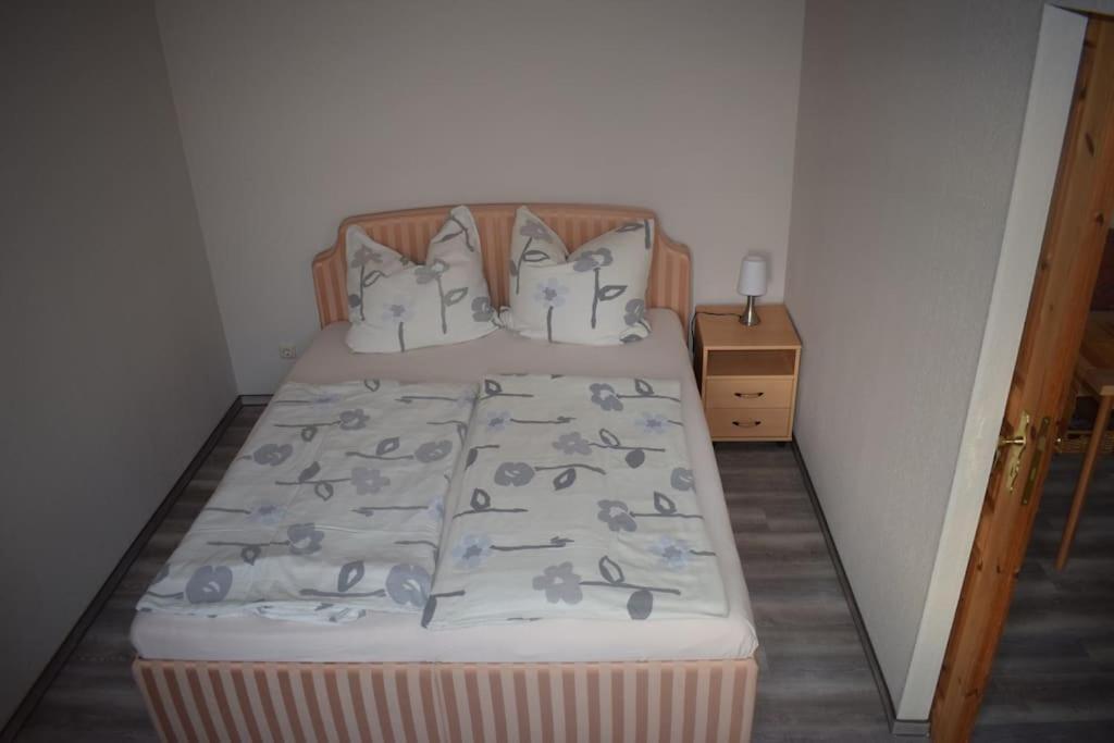 City Appartement Mit Garten, Zentral Und Trotzdem Ruhig Cottbus Extérieur photo