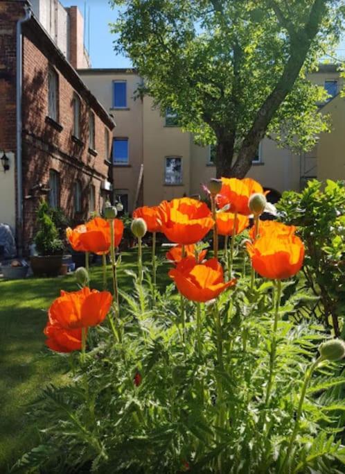 City Appartement Mit Garten, Zentral Und Trotzdem Ruhig Cottbus Extérieur photo