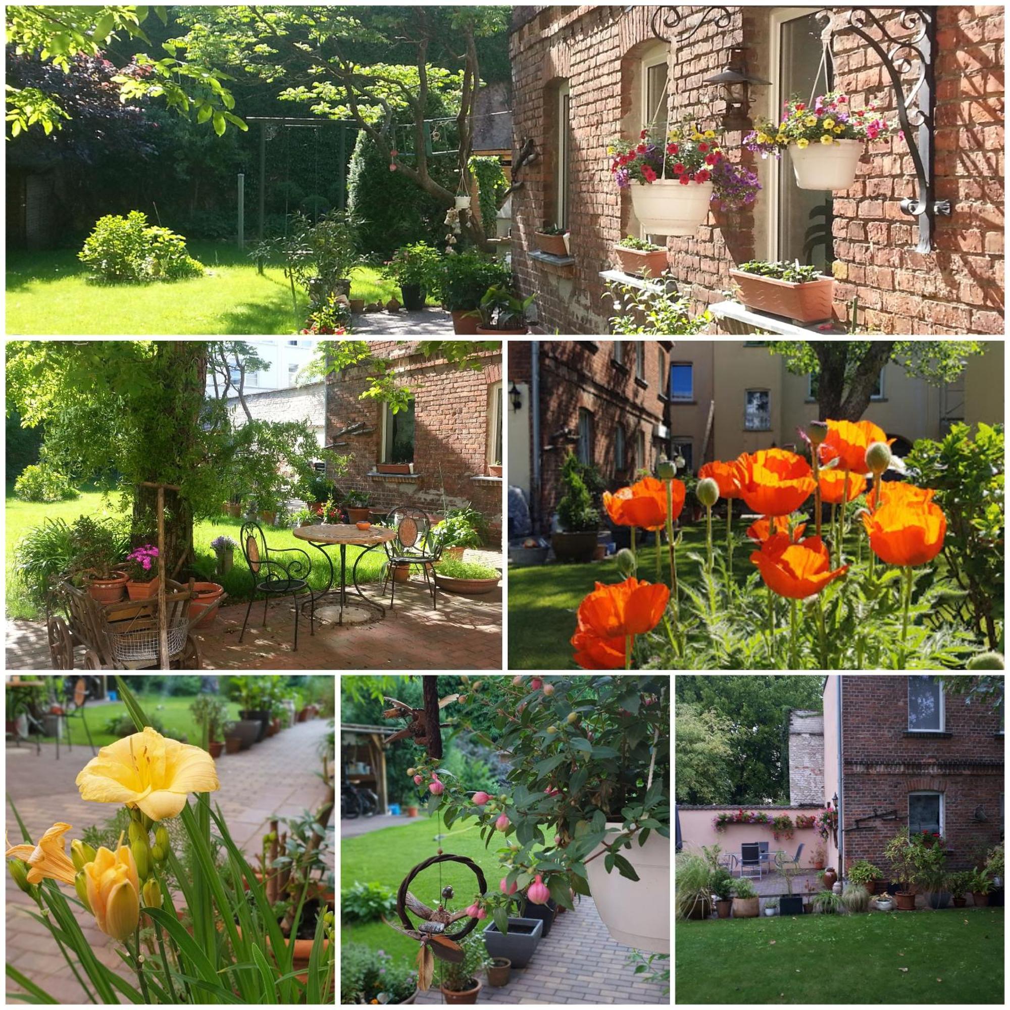 City Appartement Mit Garten, Zentral Und Trotzdem Ruhig Cottbus Extérieur photo